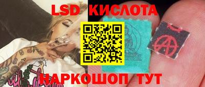 гашик Краснодар