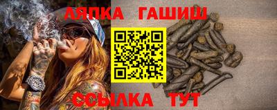 гашик Краснодар