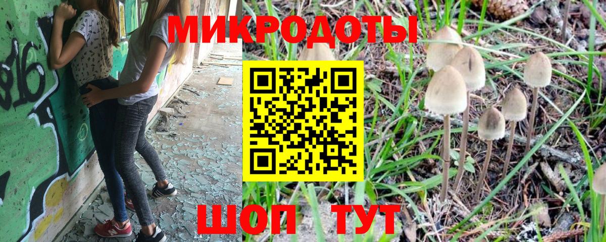 Псилоцибиновые грибы Psilocybe Качканар