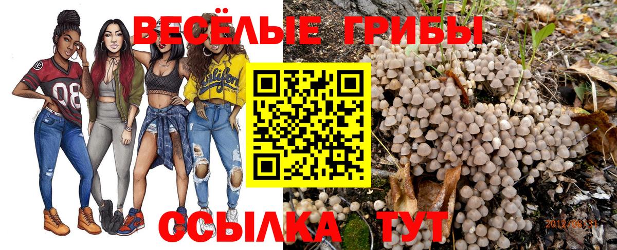 Качканар  Галлюциногенные грибы Psilocybe  Вход с VPN 